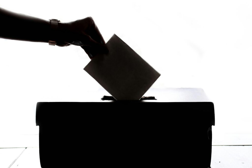 intentional voting in elections