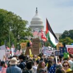 political elites