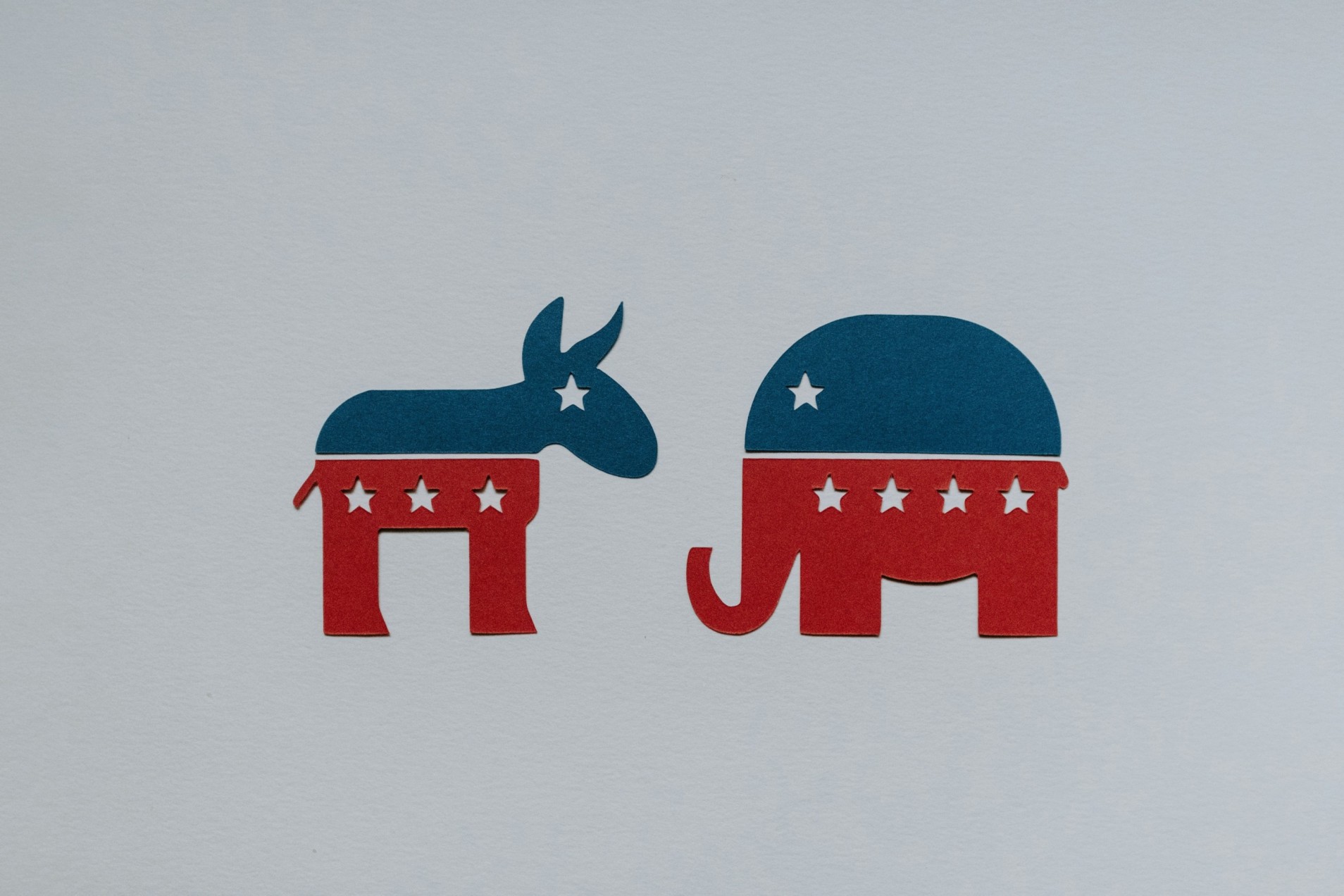 political tribalism