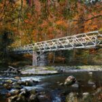 political division